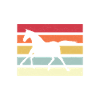 Rayures de cheval