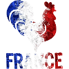 Go France | French supporter!!!