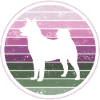 Akita Shiba Inu dog