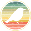 oiseaux oiseaux
