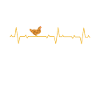 Chicken Chicken Farming Farm Heartbeat
