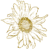 Autocollant Sunflower Gold Flower Power