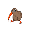 Kiwi Neuseeland