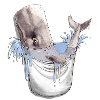 Cachalot dans la poche