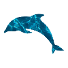 Ocean Blue Dolphin Silhouette