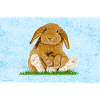 Hasi