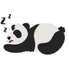 Panda Panda Bear