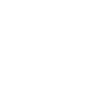 Otter