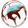 Grand Requin Blanc
