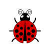 Marienkäfer lustig