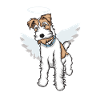 Foxterrier Drahthaar Engel | Foxterrier T-Shirt