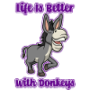 Cute Baby Donkey Life Mule