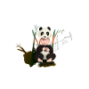 Bébé panda