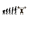 Évolution de la musculation