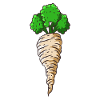 Pastinake