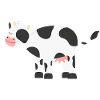 Cow cows