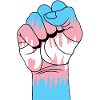 Trans Fist