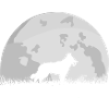 Swiss White Shepherd Full Moon