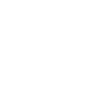 Lagotto Romagnolo Evolution