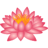 Yoga lotus flower