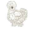 Poulet de soie dessin