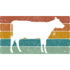 Vache