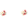 Fleurs Banner