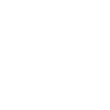 Sunflower, black and white