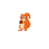 squirrel
