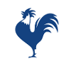 French rooster football team of France euro gift