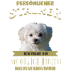 Malteser Hund - Malteser