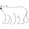 polar bear