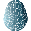 Brain course