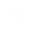diver