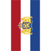 Netherlands flag phone case