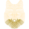 Tier Wildnis Löwe
