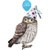Hibou fête l’anniversaire fête oiseau