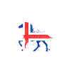 Islandpferd