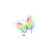 Butterfly Splash Of Colour