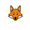 Fox Funny Cute Foxes