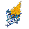 campfire
