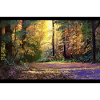 Wald