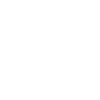 Irish Terrier