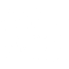 Whippet