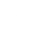 Foxterrier