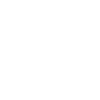 Landseer