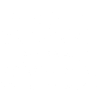 Briard