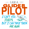 Gliding Glider pilots