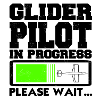 Gliding Glider pilots