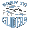 Gliding Glider pilots